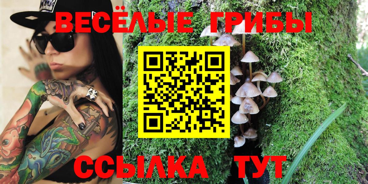 Галлюциногенные грибы Psilocybine cubensis Острогожск