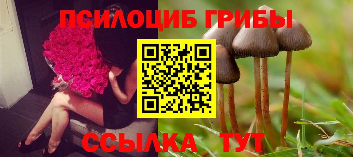 Острогожск  Псилоцибиновые грибы мухоморы  Псилоцибиновые грибы Cubensis  Вход с VPN 